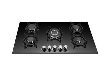 Built in Gas Stove